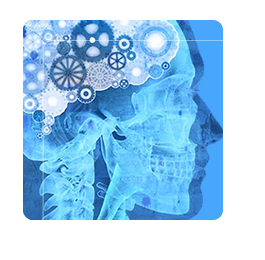 ingenieros independientes en Bogotá, Medellín, Cali, Barranquilla, Colombia y Latinoamérica