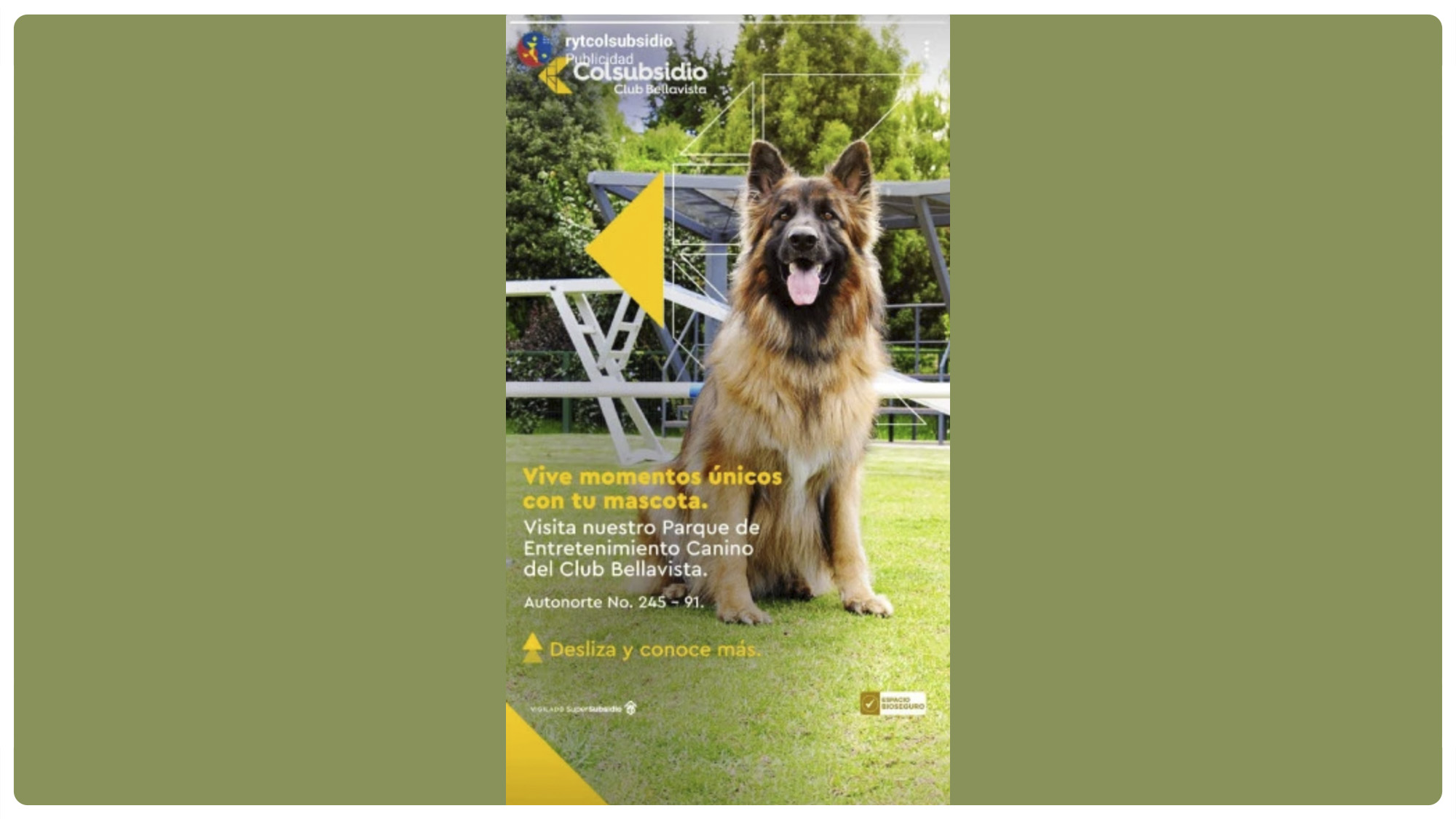 publicista Valeria Alonso. Marketing digital. Copywriter Creativa y Estratega con experiencia en empresas multinacionales