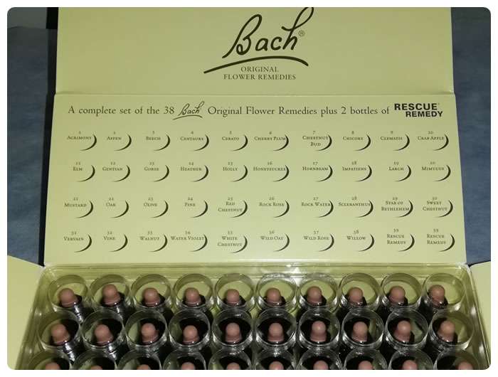 Physis Noa: Consultorio Médico en SoyFreelance.com.CO