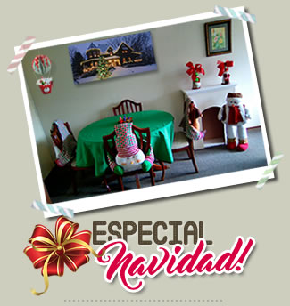 venta y cursos de elaboración de artículos navideños en Bogotá